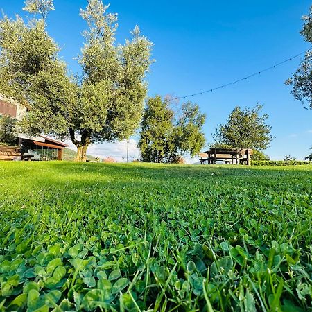 Da Gambin B&B Podenzana ภายนอก รูปภาพ